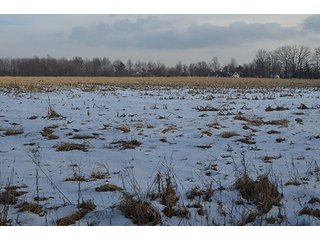 Property photo 13 - FARMLAND AUCTION, 60+/- Acres in 6 Tracts ranging from 4 to 20 acres & in combinations!